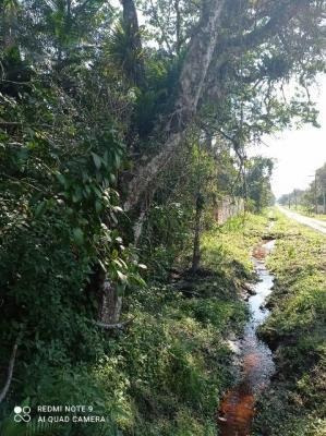 Imagem 11 de 14 de Chácara Em Itanhaém, Lote Com 3013 M² De Área Total