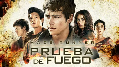 Maze runner: Prueba de fuego