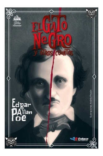 Libro El Gato De Negro Y Otros Cuentos Allan Poe, Edgar