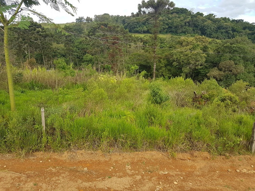 Imagem 1 de 7 de Chacara - Ch00017 - 69675583