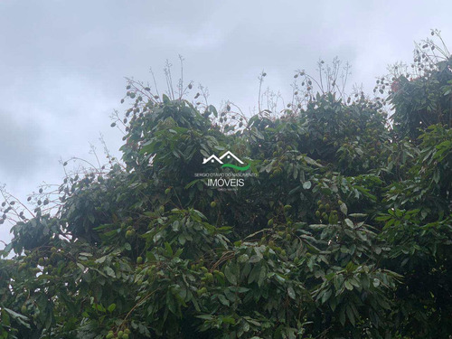 Imagem 9 de 30 de Chácara Com 6 Dorms, Xxx, Pedro De Toledo - R$ 950 Mil, Cod: 506 - V506