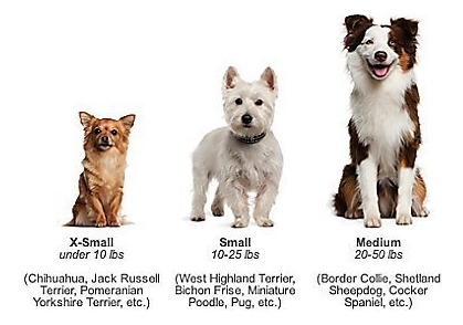 Juguetes Masticables Perros - Juego 8, Cuerdas, Cachorros
