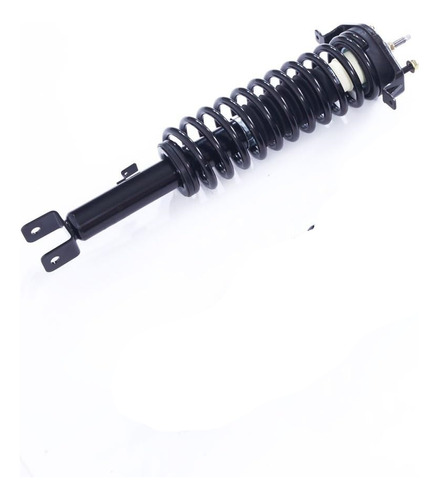 Amortiguador Tras Compatible Chrysler Sebring 3.0l V6 01-05