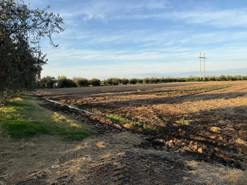 Finca De 6 Has En Venta En Los Corralitos, Gllén