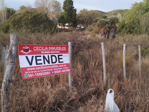 Venta De 20 Hectáreas Sobre Ruta En Tala Cañada...ref 1557