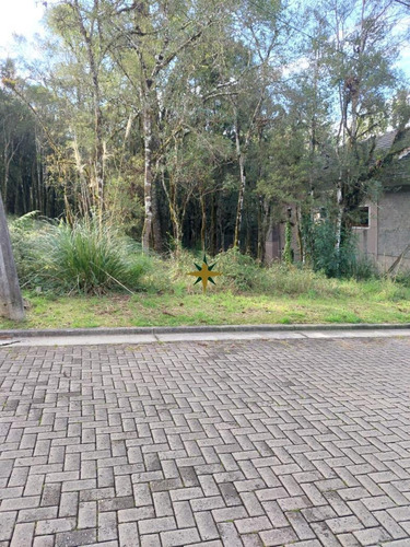 Imagem 1 de 3 de Terreno A Venda - 1060