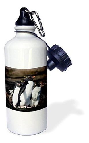 Botellas De Agua - 3drose Falkland Islands, Rock Hopper Peng