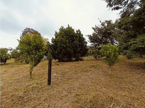 Se Venden Lotes En Quimbaya - Quindío