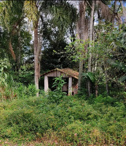 Imagem 17 de 25 de Chácara Chapada - Ch0031