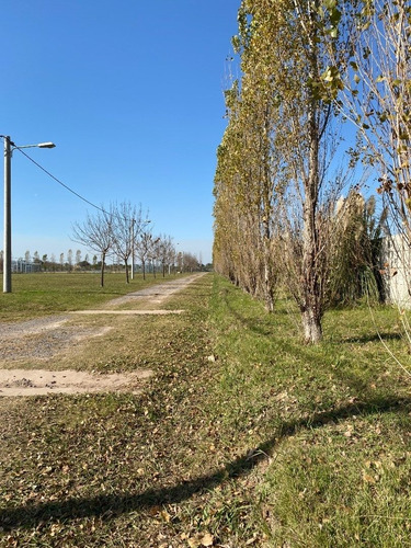 Lote En Ibarlucea Barrio Cerrado Las Casuarinas - Entrega Y Escritura Inmediata