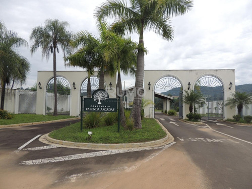Terreno À Venda Em Parque Modelo - Te005416