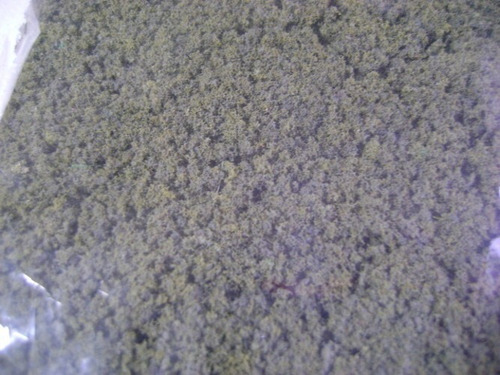 Imagen 6 de 6 de Nico Sobre Esponja Verde O Obscuro Voo H0 (pmf 27)