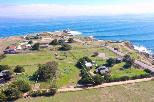 Pionero - Mirador Punta De Lobos