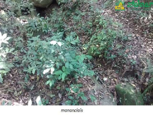 Imagem 12 de 16 de Venda Chácara / Sítio Rural Juqueri Mirim Mairiporã R$ 1.300.000,00 - 29076v