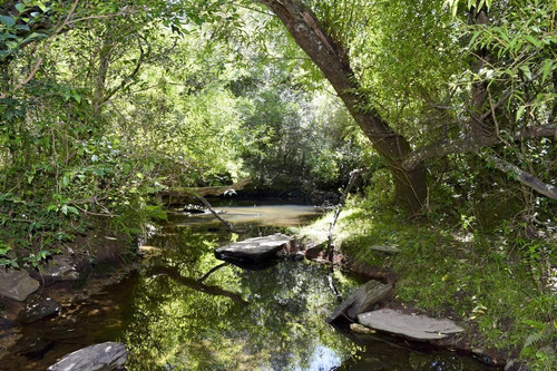 Venta Chacra Sierra Minas Ruta 60 Pan De Azucar Minas