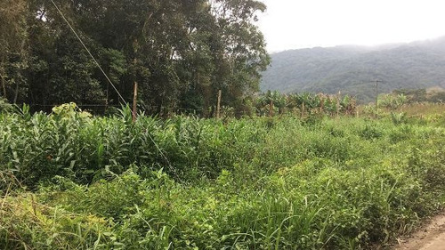 Sítio No Litoral Com 288000 M², Em Itanhaém/sp 4905-pc