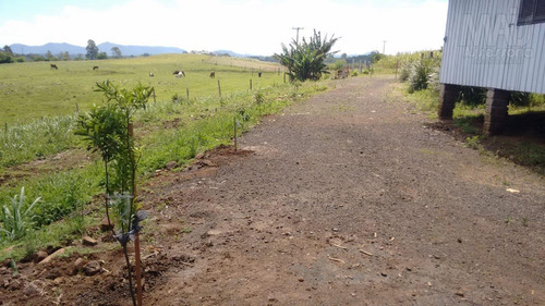 Imagem 13 de 15 de Chácara Para Venda Em Santo Antônio Da Patrulha, 3 Dormitórios, 1 Banheiro - Cwvcr010_2-1036806