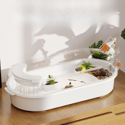 Turtle Pet Terrario Que Descansan Hábitat De Reptiles De M