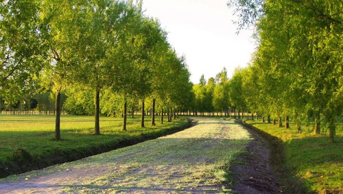Imagen 13 de 22 de Club De Campo Posada De Los Lagos - Lote 998m2 - Ruta 2 Km 72