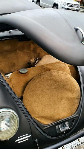 Fusca Fusca