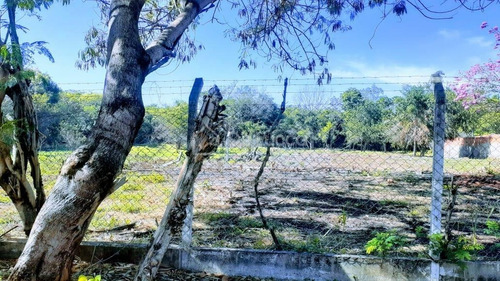 Imagem 7 de 7 de Terreno À Venda Em Centro - Te017034