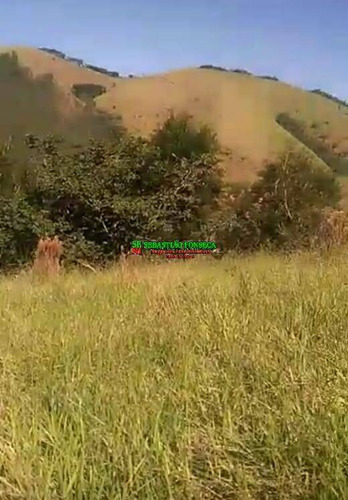 Imagem 3 de 10 de Chácara Em Monteiro Lobato - 2010