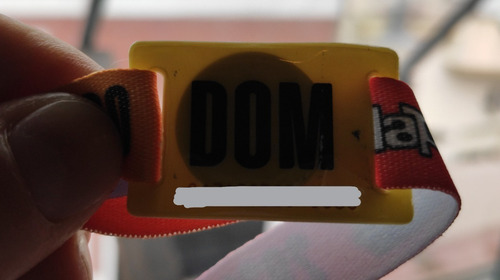 2 Entradas Lollapalooza 2020, General Domingo, Sin Registrar