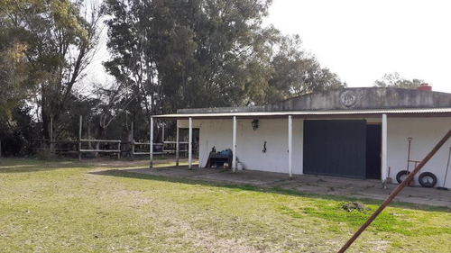 Campo C/ Caballerizas Y Casa Colonial - Villa Elisa