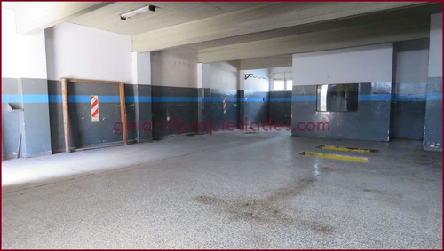 Imagen 6 de 11 de Depósito Venta Villa Mitre Sócrates 1300 Bahia Blanca