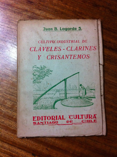 Cultivo Industrial Claveles, Clarines, Crisantemos- Lagarde
