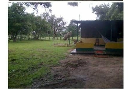 Imagen 9 de 13 de Hato En Calabozo, Edo. Guárico