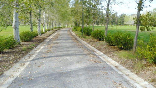 Imagen 5 de 12 de Oportunidad !! Tropezon De Areco - 2 Lotes - Excelentes!