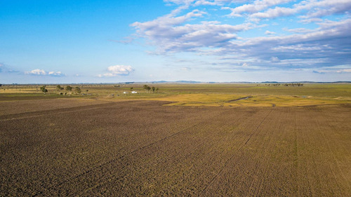 Venta Campo 740 Hás Rocha Agrícola Ganadero R 7085 (ref: Atm-7085)