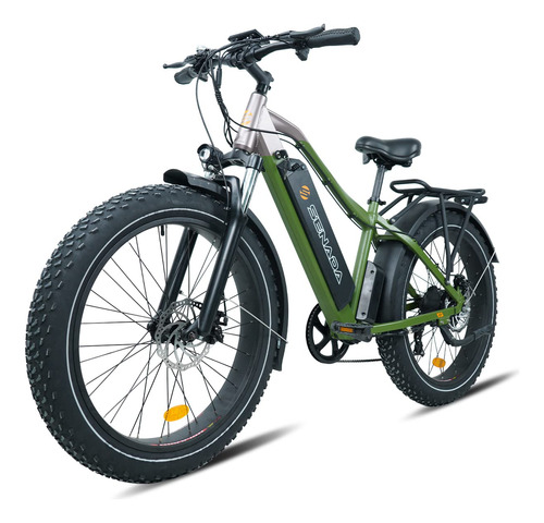 Bicicleta Electrica Para Adulto Bateria Ah Neumatico Grasa