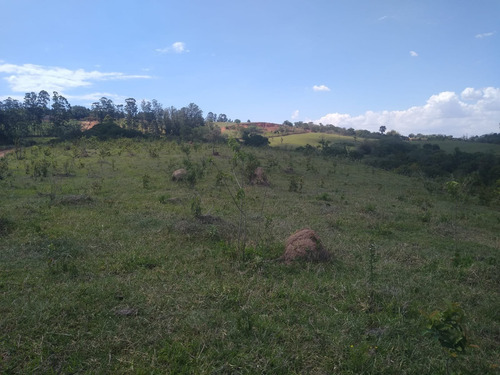 Imagem 6 de 13 de Sítio 6,5 Alqueires, Rica Em Água Com Lago, Casa Sede Com 90m2, 2 Dormitórios, Sítio Ótimo Para Pecuária, Ótima Localização - St00153 - 70457381