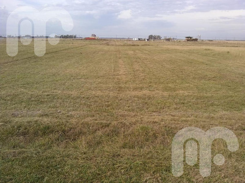 Imagen 9 de 11 de Venta Terreno -arana
