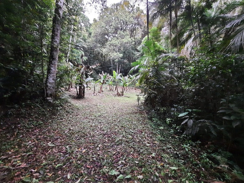 Imagem 26 de 30 de Lindo Sítio Em Juquitiba