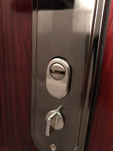 Imagen 5 de 6 de Tapa Protectora De Cilindro Puerta Blindada Seguridad T-sur