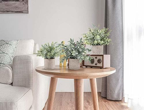 Der Rose Paquete De 3 Mini Plantas Falsas En Macetas Plantas
