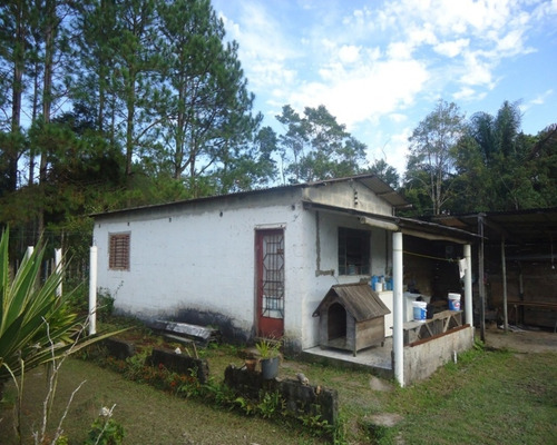 Imagem 19 de 23 de Sítio À Venda Em Juquitiba - 247 - 32982589