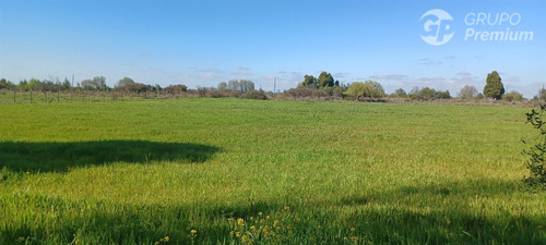 Agrícola En Venta En San Carlos