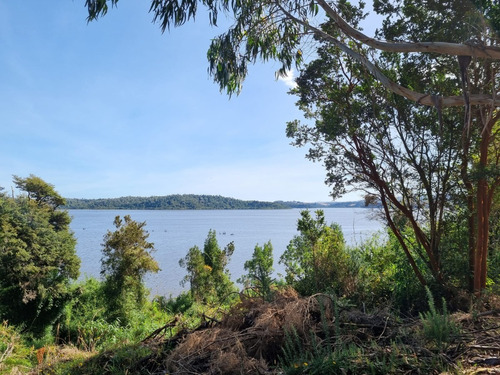 En Venta Campo En Ancud Con 8 Mil Metros De Costa 