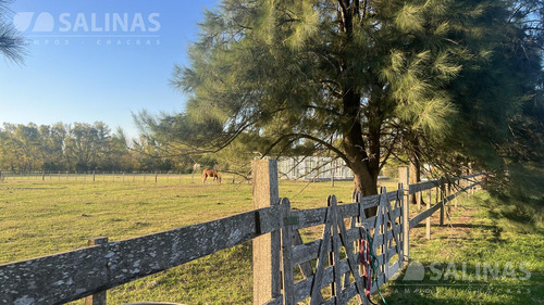 Terreno En Haras El Malacate