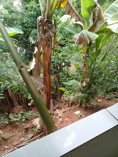 Imagem 8 de 14 de Chacara Em Vista Alegre Distrito De Cataguases Mg