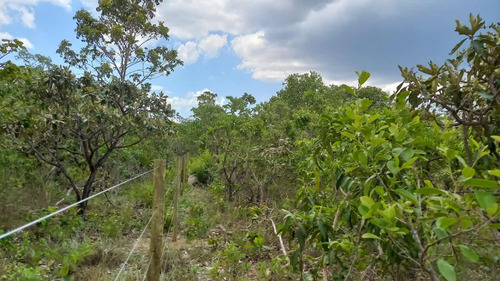 Área Chácara Cavalcante-go 1 Hectares