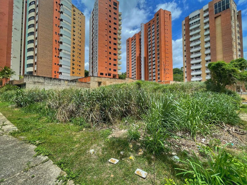 Imagen 4 de 14 de Terreno En Venta En El Bosque