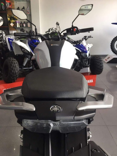 Imagen 4 de 14 de Yamaha Fz 25 Antrax