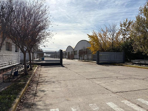 Oportunidad Industrial En Coronel Suárez: Planta Con 40.000 M² Cubiertos En Terreno De 109.000 M²