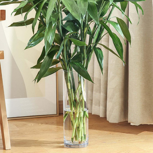 Florero Cilíndrico De Acrílico, Florero Alto, Soporte Para