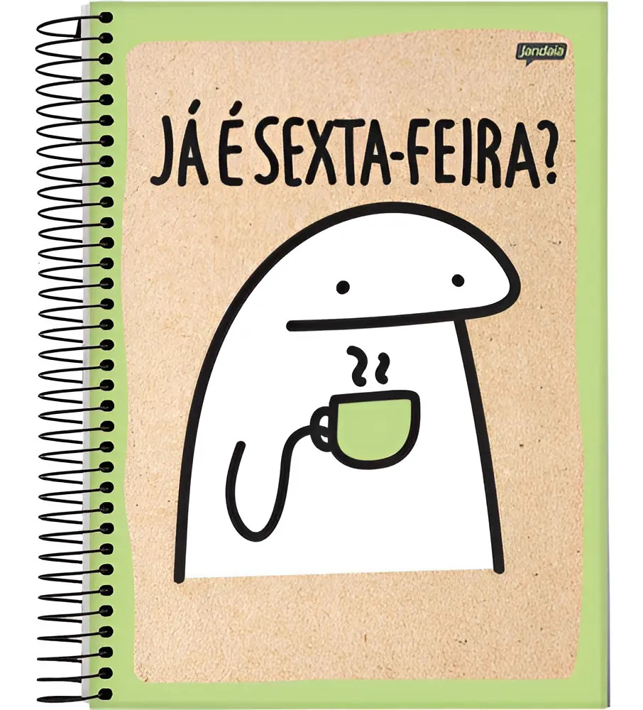 CADERNO ESPIRAL UNIV CD 10X1 160FLS FLORK AR
